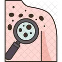 Skin Checks Dermatology Icon