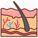 Skin Dermis Hair Icon