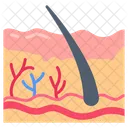 Skin Dermis Hair Icon