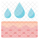 Skin Skin Care Epidermis Icon