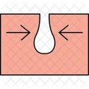 Skin plan  Icon