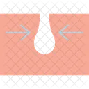 Skin plan  Icon