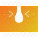 Skin plan  Icon