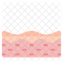 Skin Skin Care Epidermis Icon