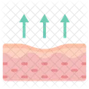 Skin Skin Care Epidermis Icon