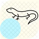 Scinque Reptile Ecailleux Icône