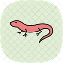 Skink Bluetonguedskink Reptile Icon