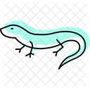 Skink Icon
