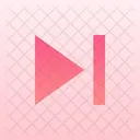 Skip  Icon