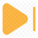 Skip Next  Icon