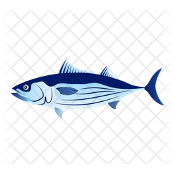 Skipjack Tuna  Icon