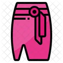 Skirt Woman Outfit Icon