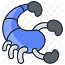 Skorpion Insekt Skorpion Symbol