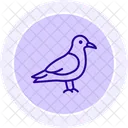 Skua Bird Sea Icon
