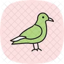 Skua Bird Sea Icon