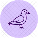 Skua Bird Sea Icon