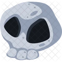 Skull  Icon