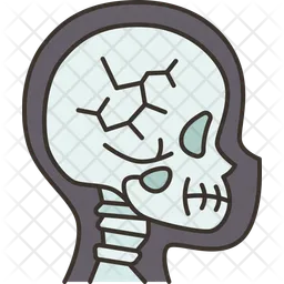 Skull  Icon