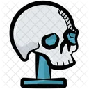 Skull Skeleton Death Symbol