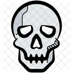 Skull  Icon