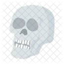 Skull Human Skull Cranium Icon