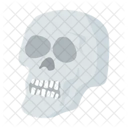 Skull  Icon