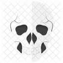 Skull Horror Spooky Icon