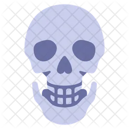 Skull  Icon