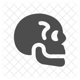 Skull  Icon