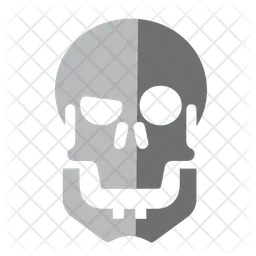 Skull  Icon