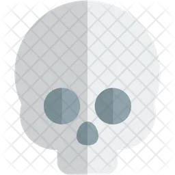 Skull  Icon