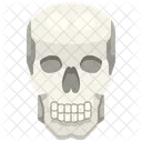 Skull Organ Body Part Icon