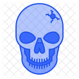 Skull  Icon