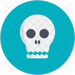 Skull  Icon