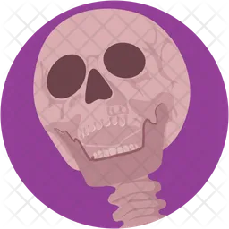 Skull  Icon