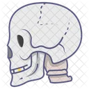 Skull Skeleton Head Icon