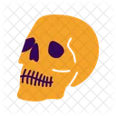 Skull  Icon