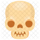 Skull Human Anatomy Icon
