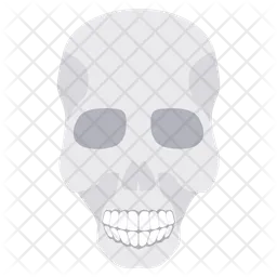 Skull  Icon