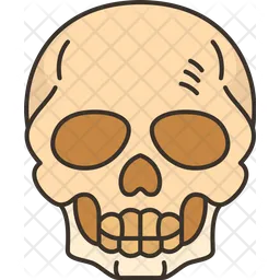 Skull  Icon