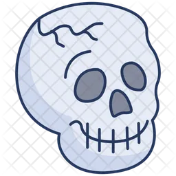 Skull  Icon