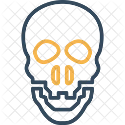 Skull  Icon