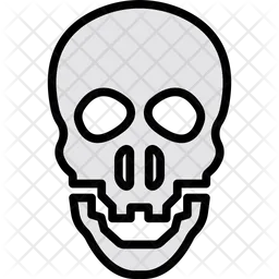 Skull  Icon