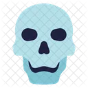 Skull Human Skull Skeleton Icon