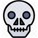 Skull Medical Biology Icon