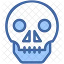 Skull Medical Biology Icon