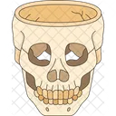 Skull Bone Head Icon