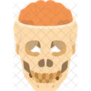 Skull Brain Cerebrum Icon