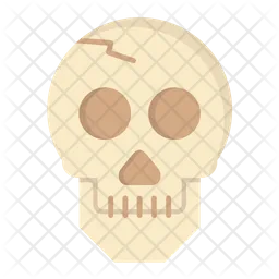 Skull  Icon