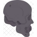 Skull Head Human Icon
